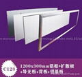 2011 New design LED Panel casing 3