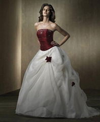 Attractive Wedding Dress/Bridal Dress (HS-035)