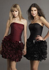 Prom Dress/Stage Dress (PD-248)