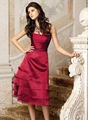 Evening Dress/Prom Dress (PD-238)