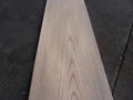 American Red Oak 1