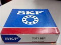 SKF BEARINGS