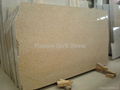 Granite Slab 1