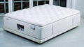 Foam  mattress