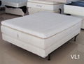 Foam Mattress with visco