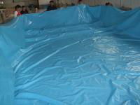 swimming pool liner 