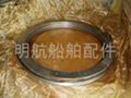 Piston ring