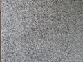 Polished G640 grey granite slab 1