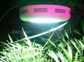 led grow light/ led plant light/led plant growth light 2