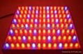 led grow light/ led plant light/led