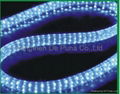 led rope light/Led ribbon light/led rainbow tube 1