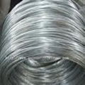 Galvanized Iron Wire 2