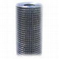 Galvanized Square Wire Mesh