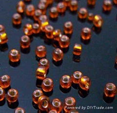 Glass Seed Beads