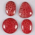 Red Coral Fossil Cab Cabochon 1
