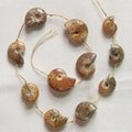 20lines/MOQ Natural Ammonite Fossil Gmestone Loose Necklace Beads 20-30mm 16inch 2