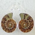 Pair Ammonite Fossil Earring 925 Sterling Silver 1