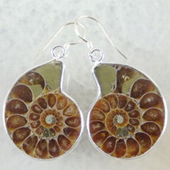 Pair Ammonite Fossil Earring 925 Sterling Silver