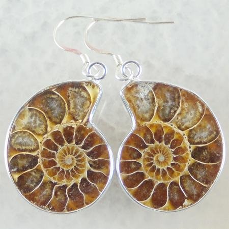 Pair Ammonite Fossil Earring 925 Sterling Silver 2