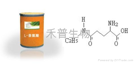 L-茶氨酸（天然茶氨酸）