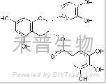 表儿茶素没食子酸酯 (ECG)单体