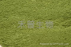 Instant Green Tea Powder