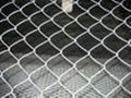 chain link mesh 1