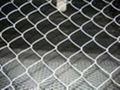 chain link mesh