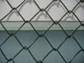 chain link mesh 2