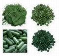 organic Spirulina & Chlorella Powder/tablet /capsule 