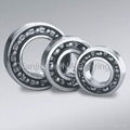 Deep groove ball bearing