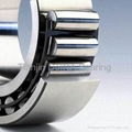 SKF bearing 1