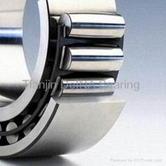 SKF bearing