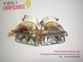 projector bulb UHP 300-264W 1.3 5