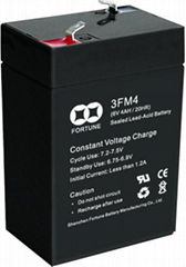 Sealed Rechargeable Lead-Acid Battery (3FM4(6V4AH/20HR))