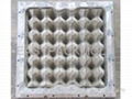 egg tray mold 2