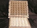 egg box mold, egg tray mold