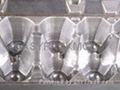 egg box mold 2