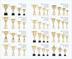 Trophy cups 