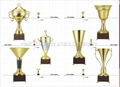 Top grade trophy cups  4