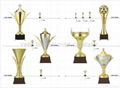 Top grade trophy cups  5