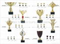 HOT SALES TROPHY CUPS  2