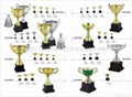 Trophy cups  2