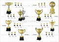 Trophy cups  2