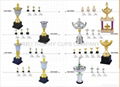 Trophy cups  4