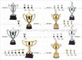 Trophy cups  5