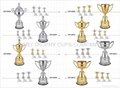 Trophy cups  2