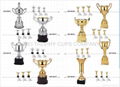 Trophy cups  3