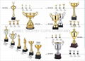 Trophy cups  4