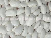 Large White Kidney Beans